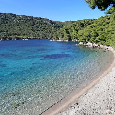 Apartments With A Parking Space Zuljana, Peljesac - 4573 外观 照片
